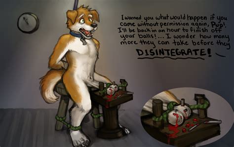 Rule 34 Balls Bound Canine Castration Clock Cock And Ball Torture