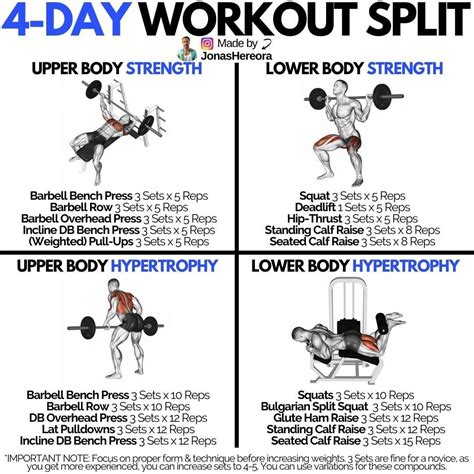 Build Muscle Gains And Strength With This Push Pull Split Structure Gymguider Com In