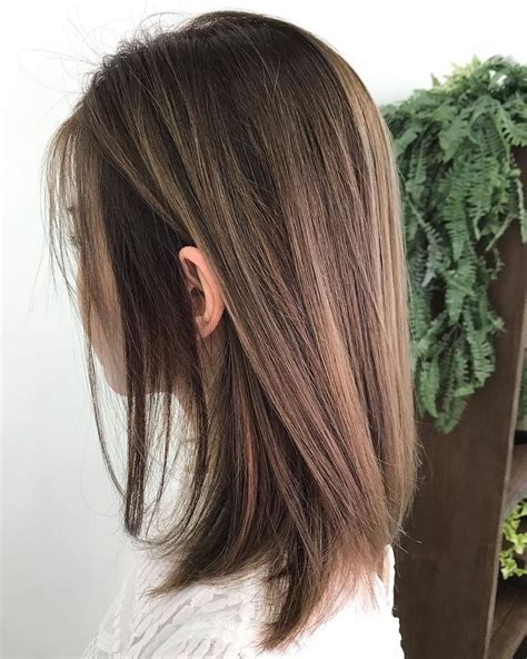 Chestnut Brown With Some Touch Of Honey Brown Highlight Can Create A