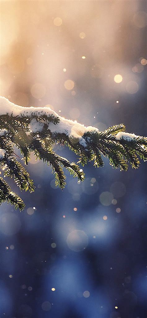 Download 4k Winter Wallpapers For Iphone Ipad And Mac