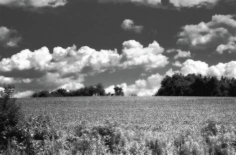 Black And White Fields Photograph By Howard Roberts Fine Art America