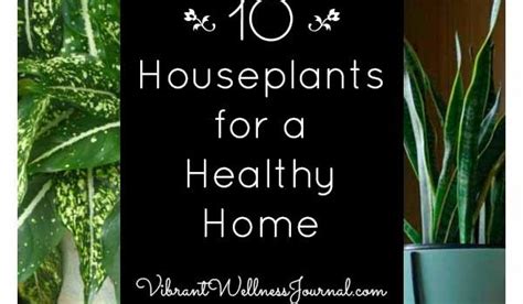 What kind of health issues are we talking about here? Vibrant Wellness Journal | Holistic health, green living ...