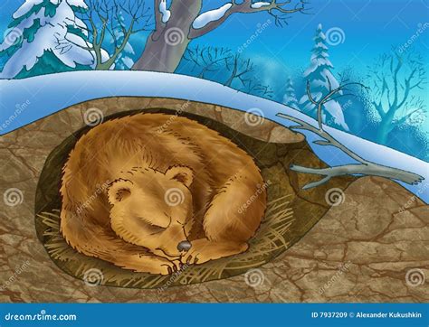 Bear In A Den Stock Illustration Illustration Of Mammalian 7937209