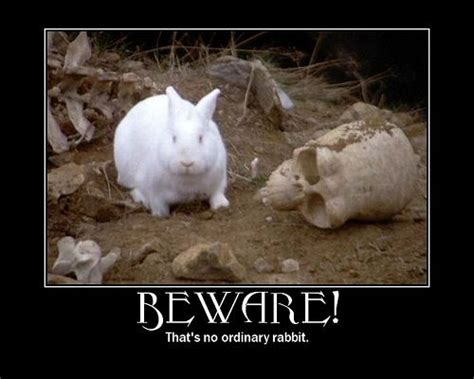 The Fierce And Foul Tempered Killer Rabbit
