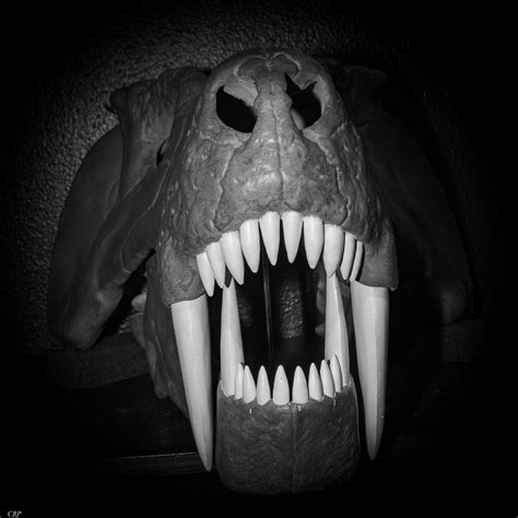 Gorgonopsian Skull 3d Print Idaho Virtualization