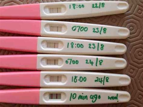 Question About Reading Results Of Ovulation Test Strip Netmums
