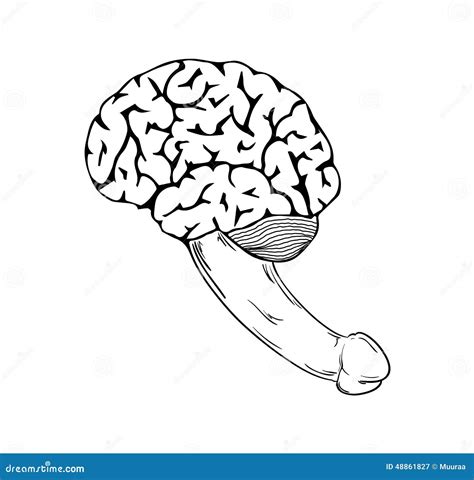 cerebro humano con el pene ilustración del vector ilustración de idiotez 48861827