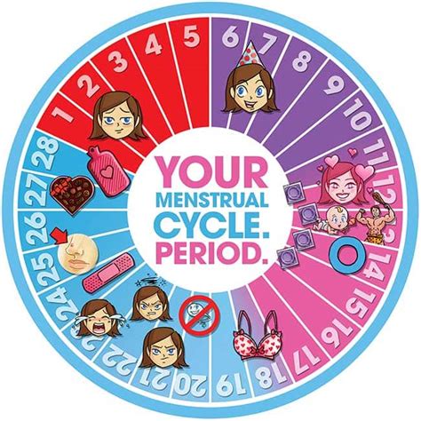 Menstrual Cycle Calendar Symptoms Tova Ainsley