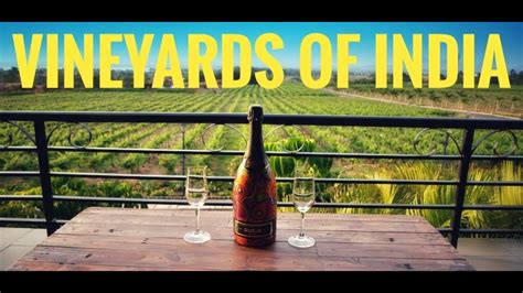 Top 5 Vineyards Of India Wine Tourism India Youtube