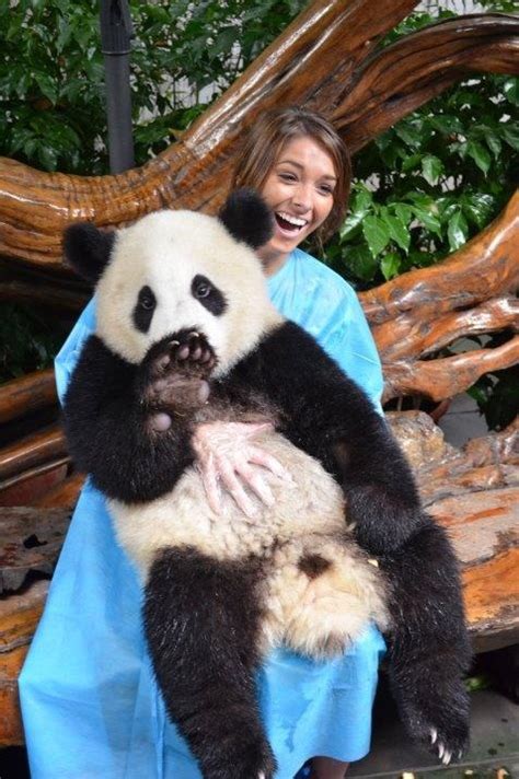 Most Amazing Trip Ever Panda Bear Travel Fun Animals