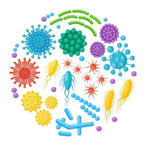 Ensemble De Bactéries Microbes Virus Germes Objet Pathogène Isolé