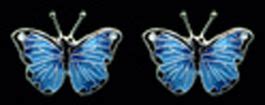 Blue Morpho Butterfly Earrings Post