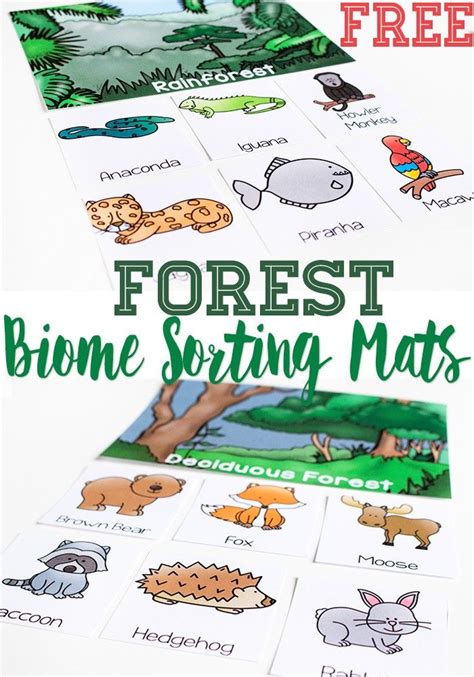 Biome Sorting Mats For Forests Forest Animals Preschool Biomes