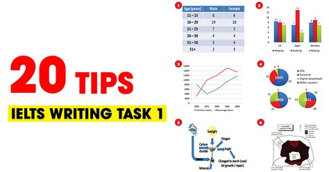 Ielts Writing Dos And Don Ts Of Task 2 Ielts Ielts Writing Writing