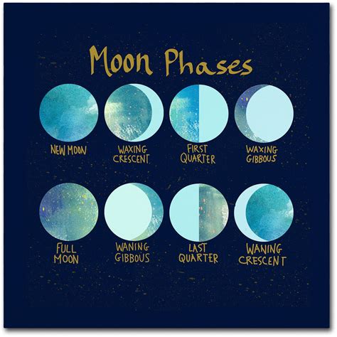 Trademark Fine Art Moon Phases Canvas Art By Lisa Powell Braun
