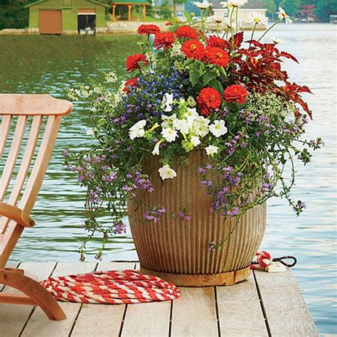 Plant A Patriotic Container Garden Southern Living Container Flowers