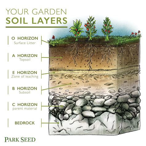 Blog Soil Layers Soil Landscaping Plants