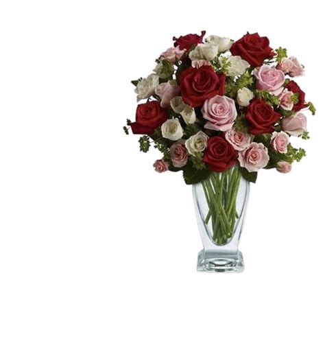FlowerWyz Love Flowers | Romantic Flowers | Best Flowers For You Flowers of Love | Romantic ...