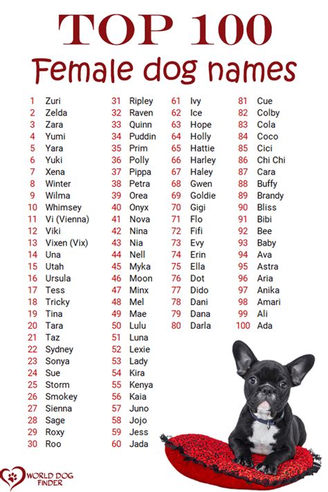 Girl Puppy Names Unique Cute Animal Names Cute Names For Dogs