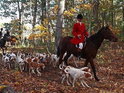 National Trust Comes Under Fire For Supporting Fox Hunting Vox Political