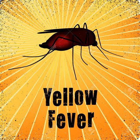 Yellow Fever In Brazil Update 9317 Global Health Travel Clinic