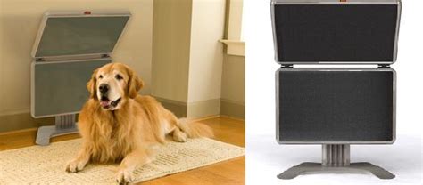 15 High Tech Gadgets To Pamper Your Dog Part 2
