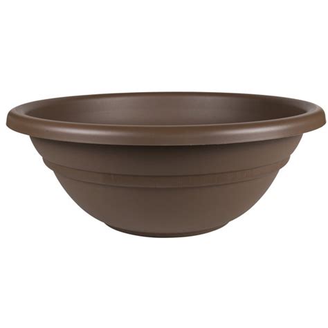 Surfez sur la tendance des buddha bowls et proposez originalité et alimentation saine à vos clientes et clients. Bloem Milano Plant Bowl 20" Chocolate - Walmart.com ...