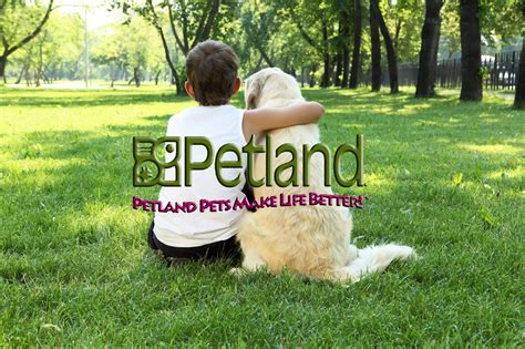 Petland - Monroeville, PA - Pet Supplies