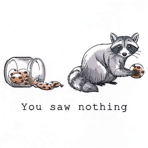 You Saw Nothing Raccoon