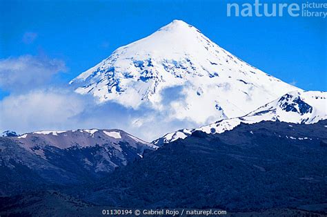 Stock Photo Of Lanin Volcano Lanin National Park Argentina Available