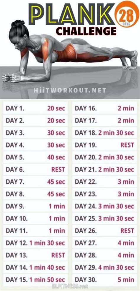 30 Day Plank Challenge For Beginners Medium