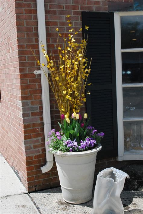 Spring Planting With Tulips Spring Container Planting