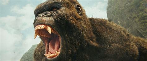 It is the second entry in the monsterverse, following 2014's godzilla. Still the King: Kong: Skull Island | The Public
