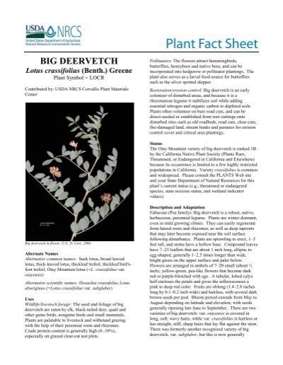 Plant Fact Sheet Usda Plants Database