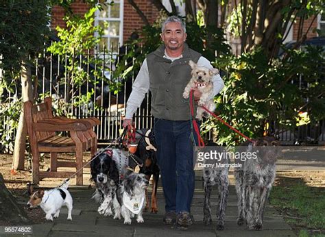 Cesar Millan Photos And Premium High Res Pictures Getty Images