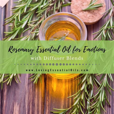 Rosemary Essential Oil For Emotions With Supportive Diffuser Blends