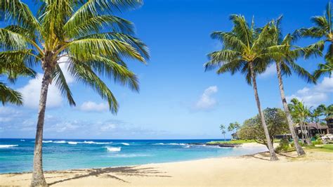 Ebay Removes Hawaiian Sand Listings Bbc News