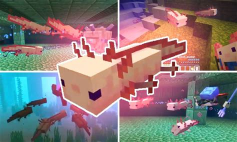 Axolotls Mod For Minecraft Pe For Android Apk Download