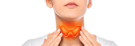 Check Your Neck For Thyroid Awareness Month Drexel Medicine Blog