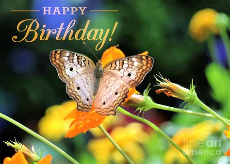 Happy Birthday Butterfly