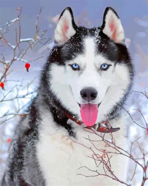 Husky In Snow Paint By Numbers Numeral Paint Kit
