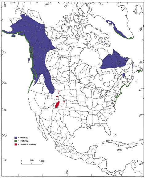 Current And Historical Ranges Of Harlequin Ducks In North America The