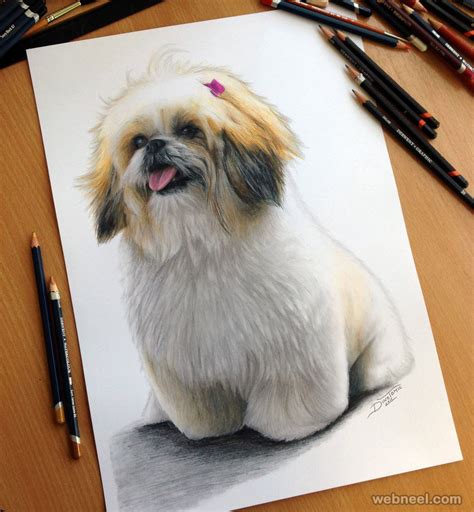She is a signature member of the colored pencil society of america, having served as president of the atlanta chapter, and she is a juried member of the portrait. Dog Color Pencil Drawing By Dinotomic 3
