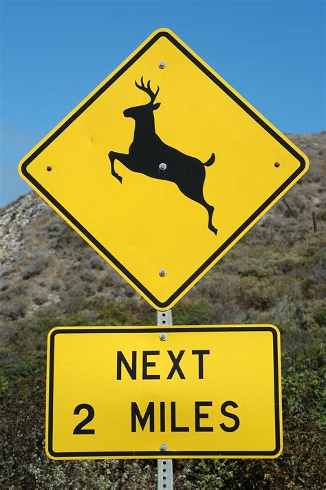 Do Road Hazard Signs Like Deer Crossing And Falling Rocks Actually