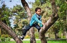 arrampica piccolo altezza bel albero ragazzo sull park adorable