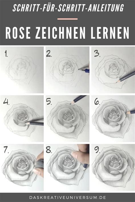 Rose Zeichnen Einfache Anleitung Mit Bleistift Rosen Zeichnen