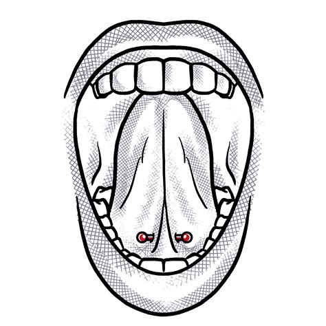 Tongue Frenulum Piercing Studio Wien