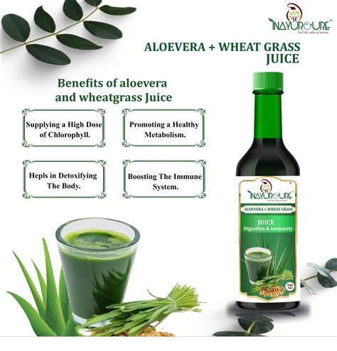 Aloe Vera Wheatgrass Juice Ml Packaging Type Bottle At Rs