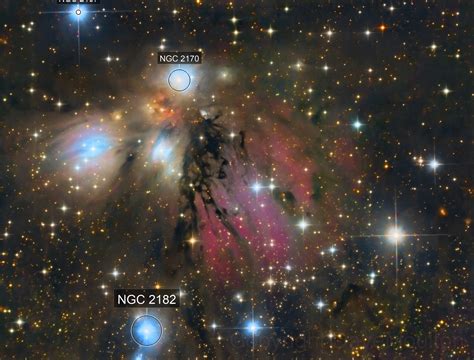 The Angel Nebula Ngc2170 Davemoulton Astrobin