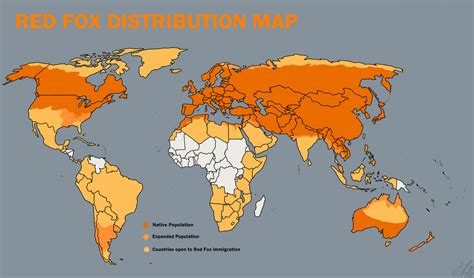 Red Fox Distribution Map By Artrock15 On Deviantart